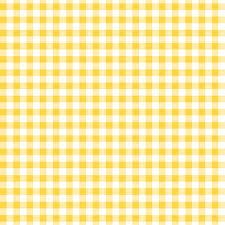 ECSS Picnic Mat - Yellow
