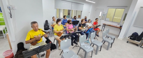 Ukulele Performance Group